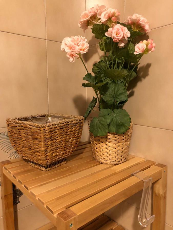 Da Paola Bed & Breakfast Pisa Bagian luar foto