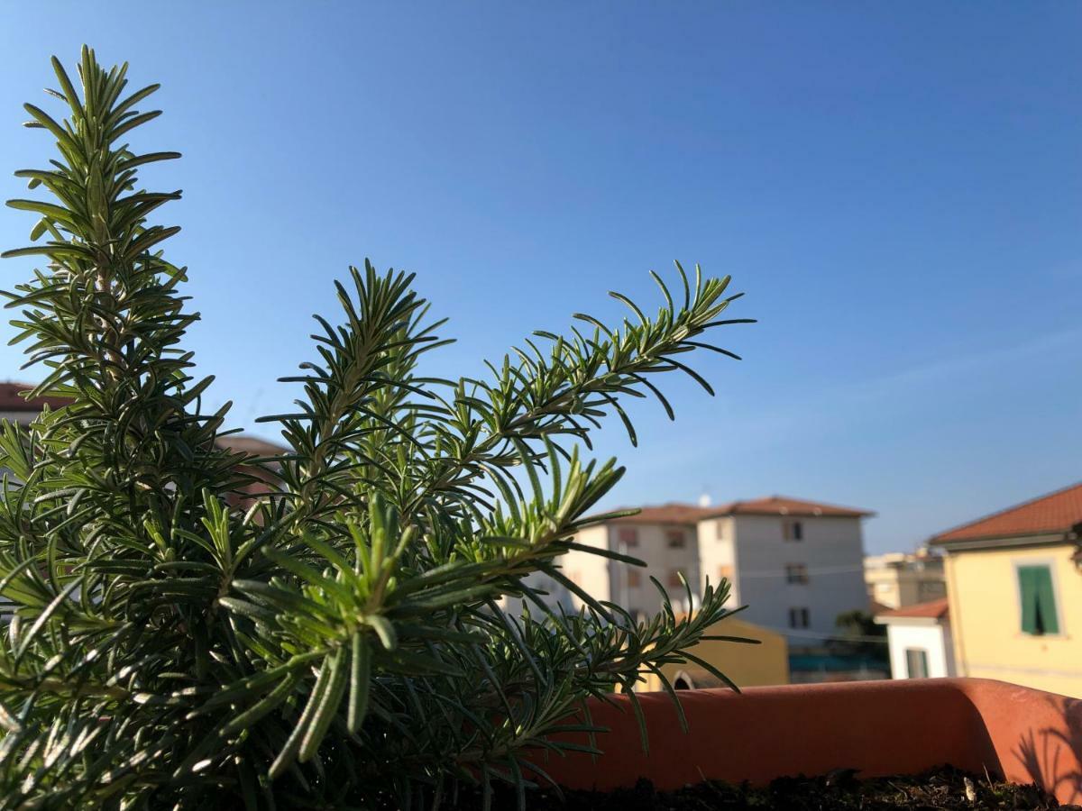 Da Paola Bed & Breakfast Pisa Bagian luar foto