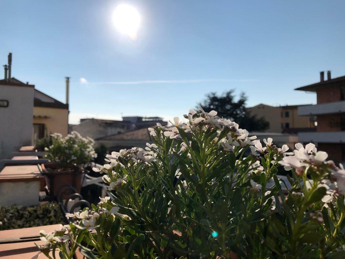 Da Paola Bed & Breakfast Pisa Bagian luar foto